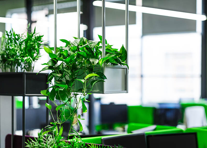 Health-Conscious & Biophilic Design